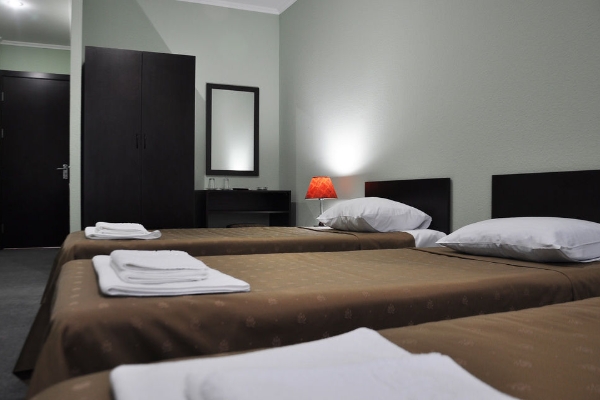 Hotel Shine Palace (Grmagele)